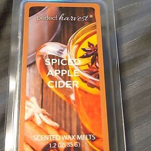 Spiced Apple Cider Wax Melts